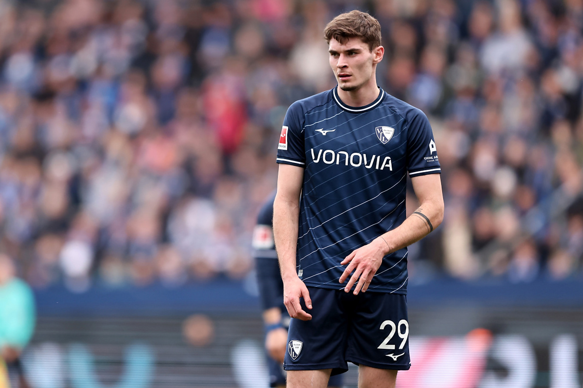 市场上并不 市场上并不